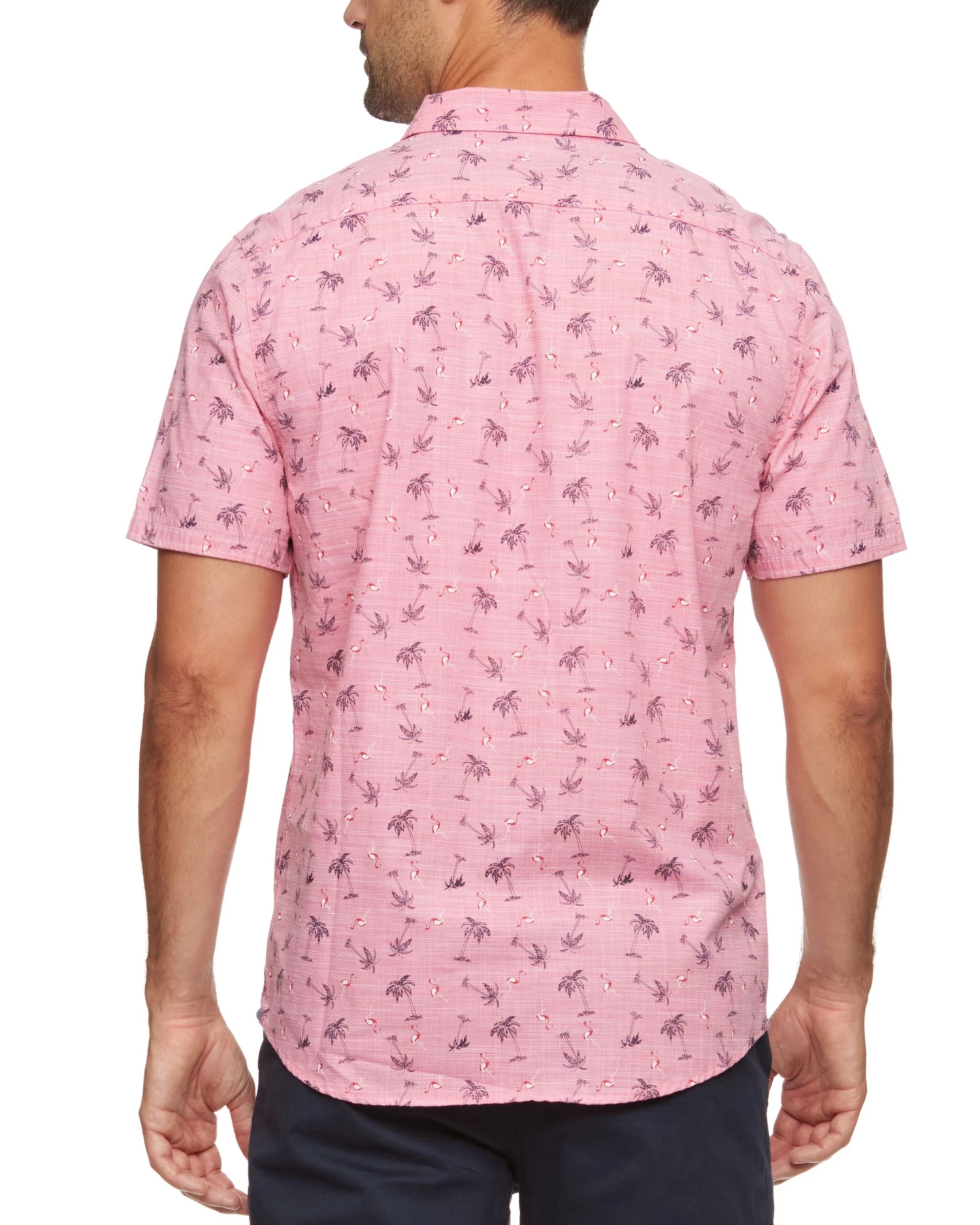 TECOPA PALM PRINT SHIRT (FINAL SALE) 3 TECOPA PALM PRINT SHIRT (FINAL SALE) - Image 3